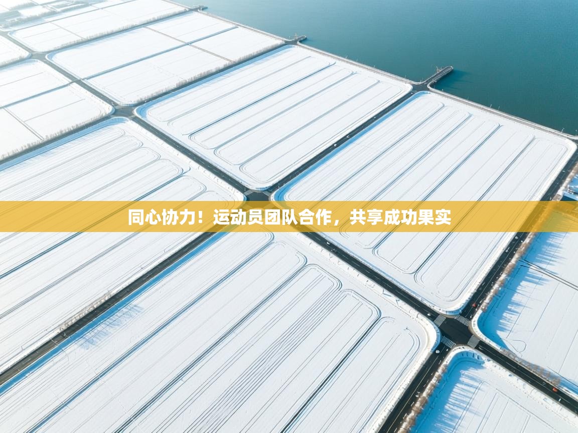 同心协力！运动员团队合作，共享成功果实
