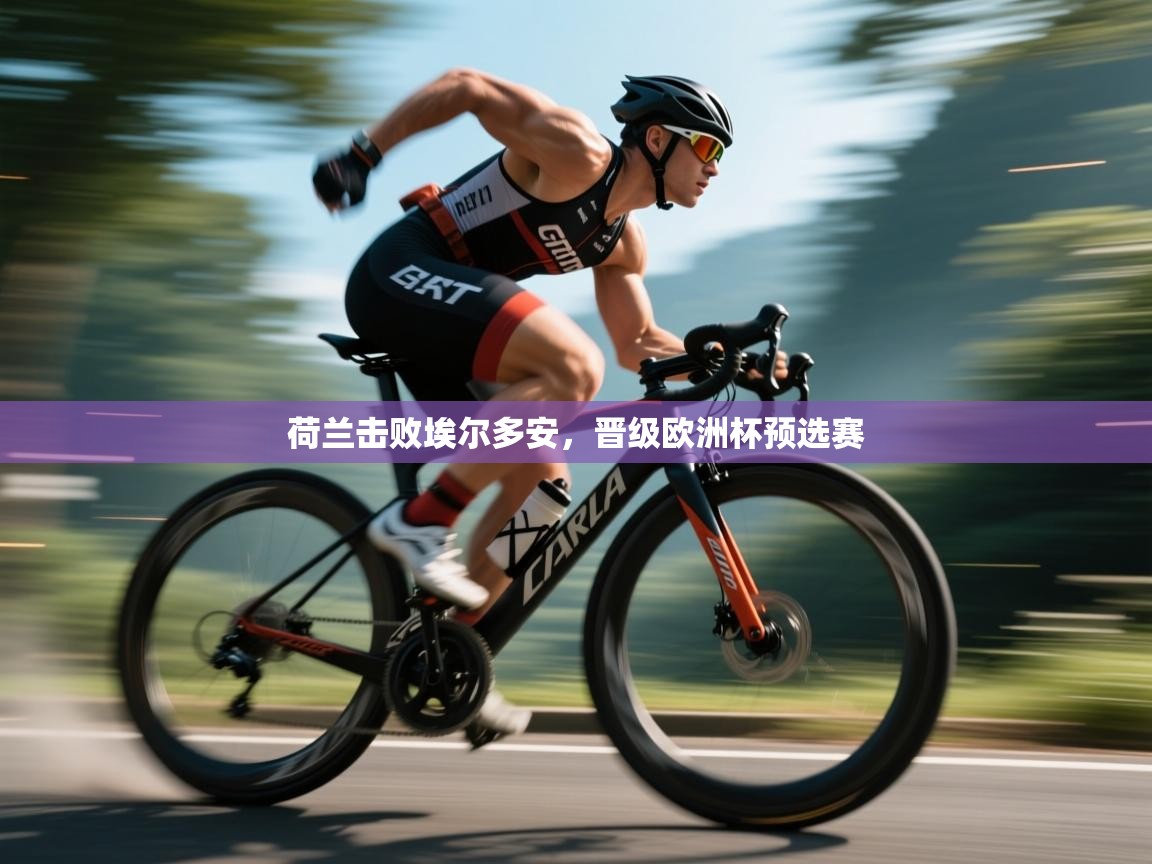 荷兰击败埃尔多安，晋级欧洲杯预选赛  第2张